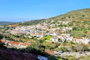Albufeira: Algarve Traditions & Food Tasting