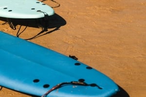 Albufeira: Beginner Surf Lesson