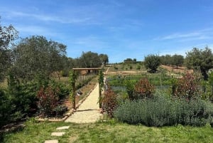 Albufeira: Alte, Paderne, and Messines Jeep Safari Tour