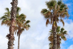 Albufeira: Playa, Casco Antiguo y Falesia Recorrido en Tuk Tuk Eléctrico