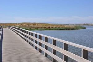Albufeira: tour in jeep delle spiagge, della città vecchia e della laguna di Salgados