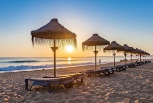 Albufeira: tour in jeep delle spiagge, della città vecchia e della laguna di Salgados
