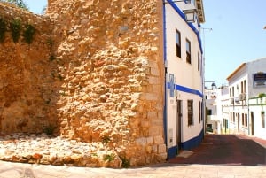 Albufeira: tour in jeep delle spiagge, della città vecchia e della laguna di Salgados