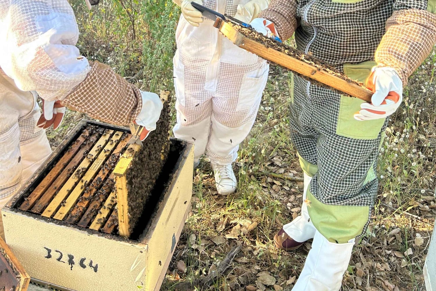 Albufeira: Experiência de apicultura com degustação de mel