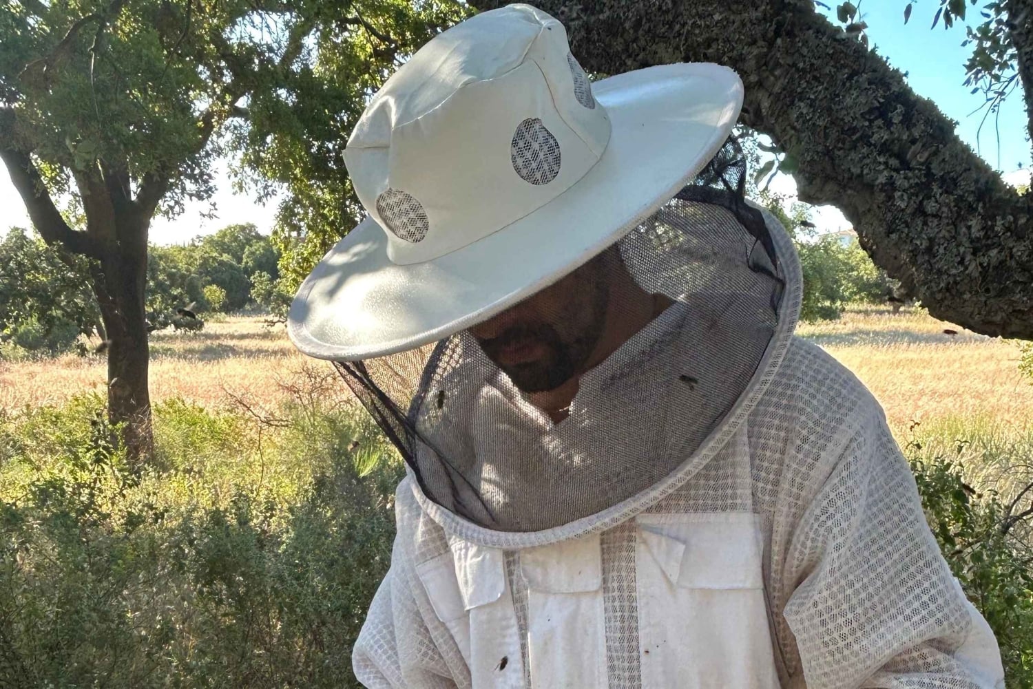 Albufeira: Experiência de apicultura com degustação de mel