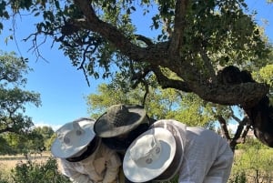 Albufeira: Experiência de apicultura com degustação de mel
