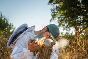 Albufeira: Experiência de apicultura com degustação de mel