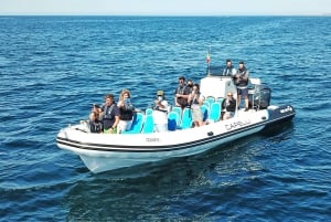 Albufeira: Benagil Cave and Dolphin Sightseeing Boat Cruise