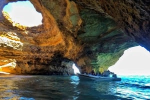 Albufeira: Benagil Cave and Dolphin Sightseeing Boat Cruise