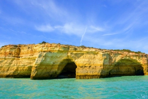 Albufeira: Benagil Caves & Dolphin Watching Speed Boat Tour