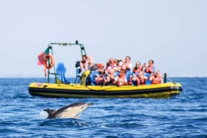 Albufeira: Benagil-grotten & dolfijnspotten per speedboot