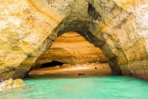 Albufeira: Benagil Caves & Dolphin Watching Speed Boat Tour