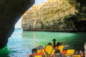 Fra Albufeira: Delfinsafari med speedbåd og Benagil-grotten