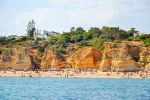 Albufeira: tour en lancha con delfines y cuevas de Benagil