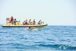 Albufeira: Benagil-grotten & dolfijnspotten per speedboot