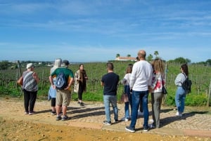Albufeira: Byens høydepunkter og vinsmaking