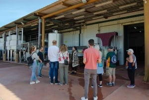 Albufeira: Byens høydepunkter og vinsmaking