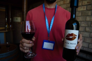 Albufeira: Byens høydepunkter og vinsmaking