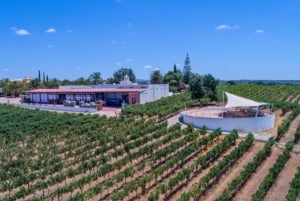 Wycieczka wzdłuż wybrzeża Albufeiry, winnica i pyszny lunch z kurczakiem