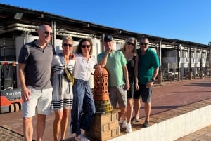 Wycieczka wzdłuż wybrzeża Albufeiry, winnica i pyszny lunch z kurczakiem