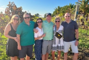 Wycieczka wzdłuż wybrzeża Albufeiry, winnica i pyszny lunch z kurczakiem