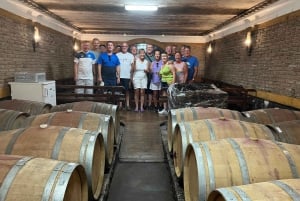 Wycieczka wzdłuż wybrzeża Albufeiry, winnica i pyszny lunch z kurczakiem