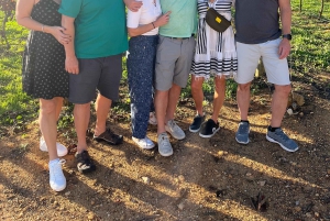 Albufeira-kysttur, vingård og deilig kyllinglunsj