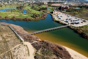 Albufeira-kysttur, vingård og deilig kyllinglunsj