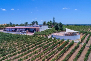 Albufeira-kysttur, vingård og deilig kyllinglunsj
