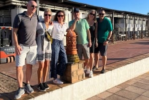 Albufeira-kysttur, vingård og deilig kyllinglunsj