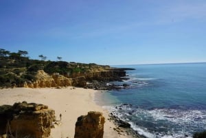 Albufeira Küstenwanderung - Kleine Gruppe