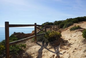 Albufeira Küstenwanderung - Kleine Gruppe