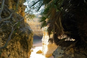 Albufeira Küstenwanderung - Kleine Gruppe