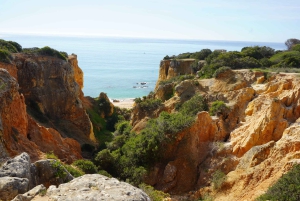 Albufeira Küstenwanderung - Kleine Gruppe