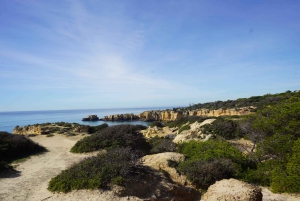 Albufeira Küstenwanderung - Kleine Gruppe