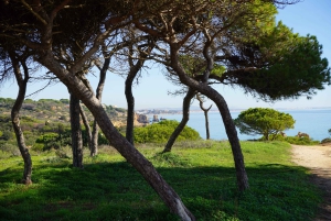 Albufeira Küstenwanderung - Kleine Gruppe