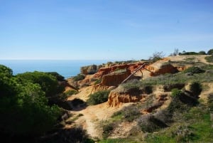 Albufeira Küstenwanderung - Kleine Gruppe