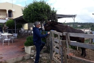 Tuk tuk-tur på landsbygda i Albufeira