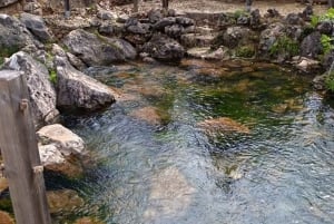 Tuk tuk-tur på landsbygda i Albufeira