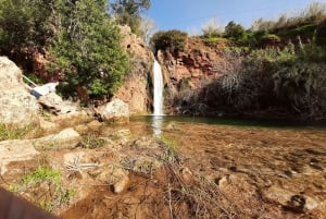 Excursión en Tuk Tuk por la Campiña de Albufeira