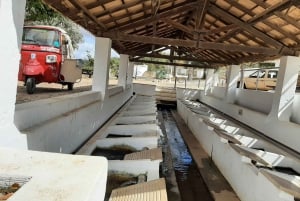 Excursión en Tuk Tuk por la Campiña de Albufeira