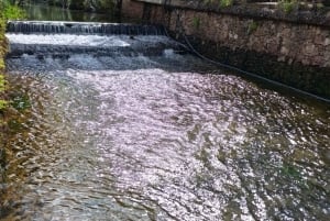 Excursión en Tuk Tuk por la Campiña de Albufeira