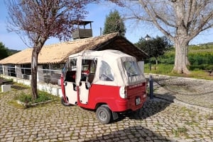 Excursión en Tuk Tuk por la Campiña de Albufeira