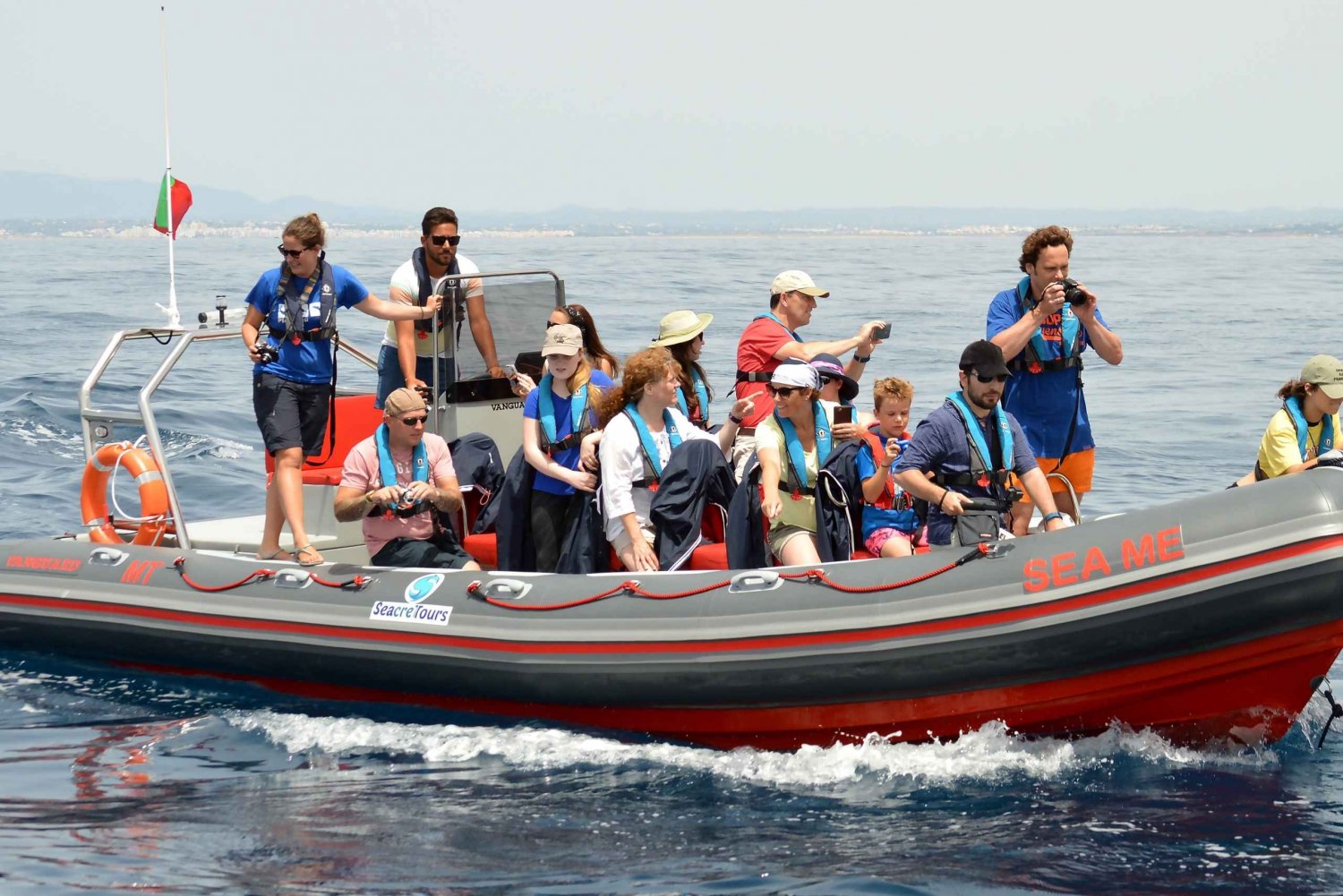 Albufeira: Delfinskådning och båtkryssning i Benagilgrottan