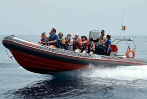 Albufeira: Avistamiento de Delfines y Crucero en Barco por la Cueva de Benagil