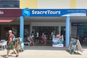 Albufeira: Delfinbeobachtung und Bootsfahrt zur Benagil-Höhle