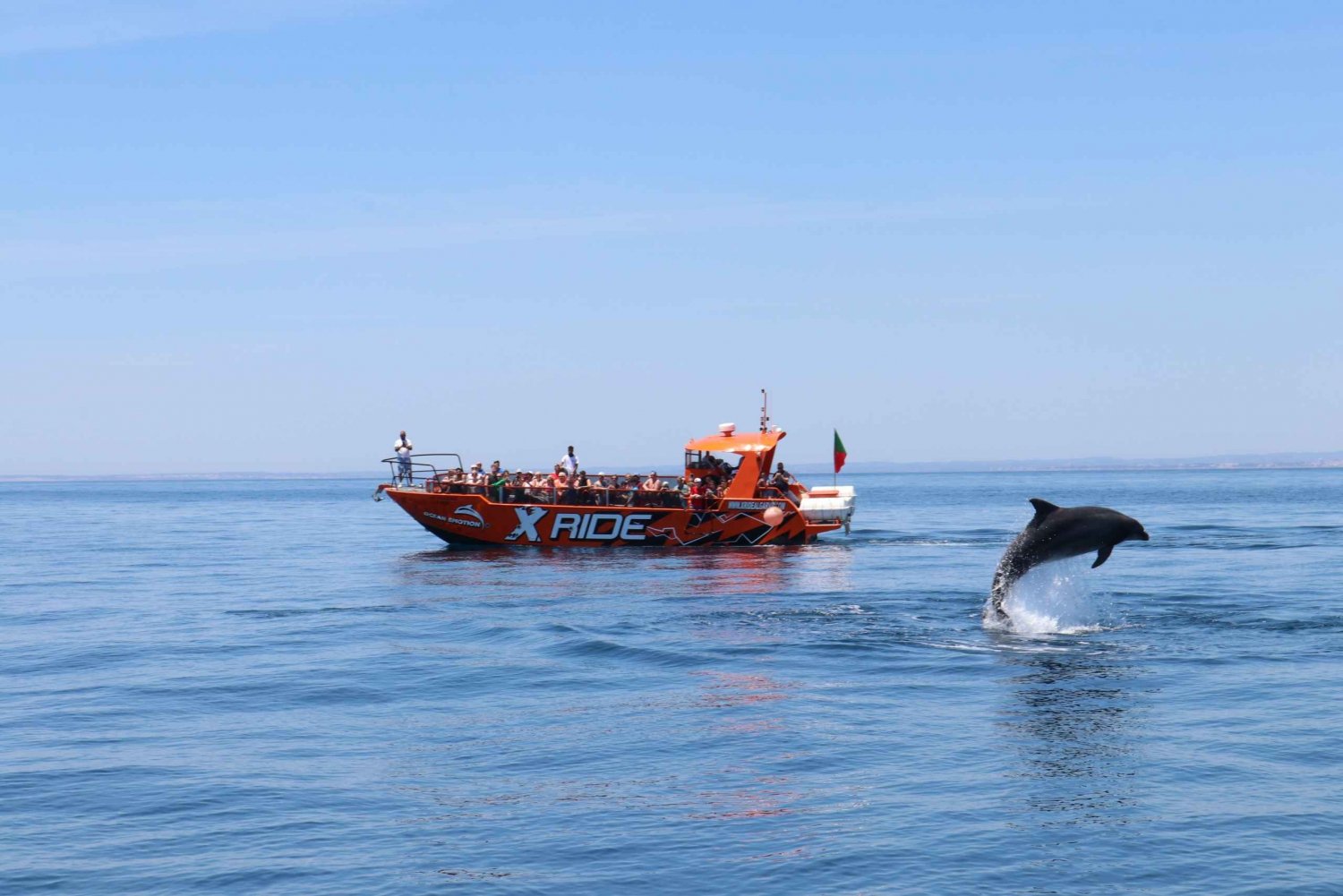 Albufeira: Observação de golfinhos e Gruta de Benagil