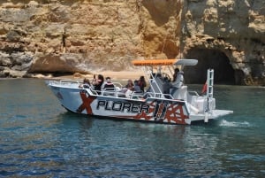 Albufeira: Dolphin Watching and Benagil Cave