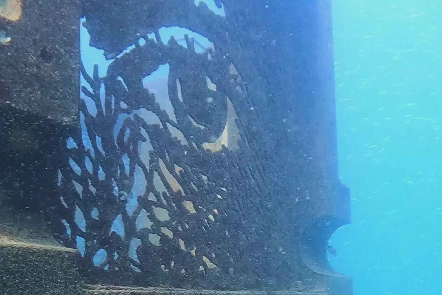 Albufeira: Doppeltes Tauchen im Meer für zertifizierte Taucher