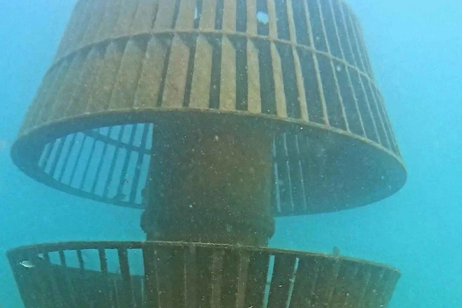 Albufeira: Doppeltes Tauchen im Meer für zertifizierte Taucher